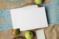 Summer stationery mockup scene with with apples, blue runner, on a beige background in rustic style and natural. Mockup card for Royalty Free Stock Photo