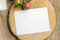 Summer stationery mockup scene with with apples, blue runner, on a beige background in rustic style and natural. Mockup Royalty Free Stock Photo