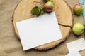 Summer stationery mockup scene with with apples, blue runner, on a beige background in rustic style and natural. Mockup card for Royalty Free Stock Photo
