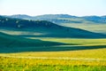 The summer steppe Royalty Free Stock Photo