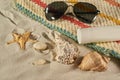 Summer still life on a sand background, sea shells, glasses, starfish Royalty Free Stock Photo