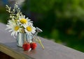 Summer still life with berries, watering can and flowers