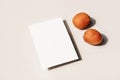 Summer still life composition. Fresh orange apricot fruit and on beige table background. Blank paper greeting card