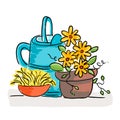 Summer still life with flowers and watering can Royalty Free Stock Photo