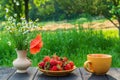 Summer still life of a plate with strawberries and coffee on a table with flowers. Summer morning or evening background Royalty Free Stock Photo