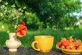 Summer still life of a plate with strawberries and coffee on a table with flowers. Summer morning or evening background Royalty Free Stock Photo