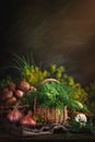 Summer still life of ripe vegetables and dill. Royalty Free Stock Photo