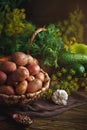 Summer still life of ripe vegetables and dill. Royalty Free Stock Photo