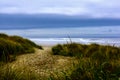 Sea Shore Wild Grass under Cloudy