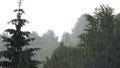 Summer Storm Raining Clouds, Fog in Mountains on Rainy Cloudy Day, Stormy Mist Smoke Mystical Foggy Forest, Alpine Wood Overcast Royalty Free Stock Photo