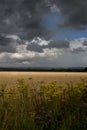 Summer stormy landscape