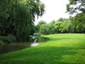 Summer stream and grassland Royalty Free Stock Photo