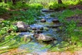 Summer stream with moss covered stones Royalty Free Stock Photo