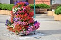 Summer street decoration of the city - pyramid made from particoloured flowers