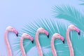 Summer style design with exotic flamingo and palm trees on bright colour background