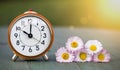 Summer, summertime concept - alarm clock, flowers, web banner with copy space Royalty Free Stock Photo
