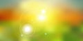 Summer sunlight on green nature blurred background Royalty Free Stock Photo