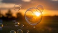 Summer sunlight and soap bubbles. Royalty Free Stock Photo