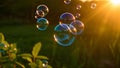 Summer sunlight and soap bubbles. Royalty Free Stock Photo