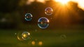 Summer sunlight and soap bubbles. Royalty Free Stock Photo