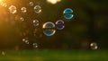 Summer sunlight and soap bubbles. Royalty Free Stock Photo