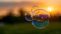 Summer sunlight and soap bubbles. Royalty Free Stock Photo