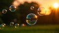 Summer sunlight and soap bubbles. Royalty Free Stock Photo