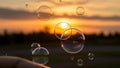 Summer sunlight and soap bubbles. Royalty Free Stock Photo