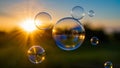Summer sunlight and soap bubbles. Royalty Free Stock Photo
