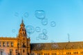 Summer sunlight and soap bubbles Royalty Free Stock Photo