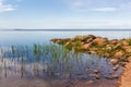 Summer sunny day on the  coast of the gulf of Bothnia Royalty Free Stock Photo