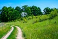 Summer green hilly glade Royalty Free Stock Photo