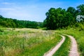 Summer green hilly glade Royalty Free Stock Photo