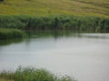 Green shore of a small lake Royalty Free Stock Photo