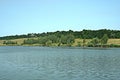 Green shore of a large pond