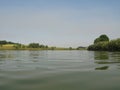 Green shore of a large pond