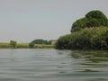 Green shore of a large pond