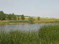 Green shore of a large pond