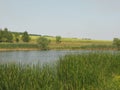 Green shore of a large pond