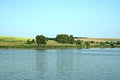 Green shore of a large pond