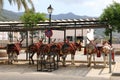 Parking for donkeys that carry tourists around the Spanish countryside