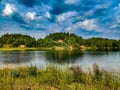 Summer. Sunny. A forest lake among a pine forest Royalty Free Stock Photo
