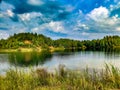 Summer. Sunny. A forest lake among a pine forest Royalty Free Stock Photo