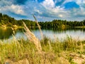 Summer. Sunny. A forest lake among a pine forest Royalty Free Stock Photo