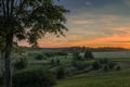 Summer Sunny Forest Trees And Green Grass. Nature Wood Sunlight Royalty Free Stock Photo