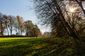 Summer Sunny Forest Trees And Green Grass. Nature Wood Sunlight Background. Instant Toned Image Royalty Free Stock Photo