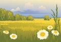 Summer sunny landscape Royalty Free Stock Photo