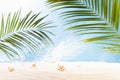 Summer sunny tropical beach with green palm leaves, white sand, sun glare, seashells and sea view, nobody. Empty landscape. Royalty Free Stock Photo
