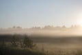 Summer sunrise in foggy forest