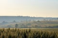 Summer sunrise in the mountainous countryside, fog spreads over endless fields. Royalty Free Stock Photo